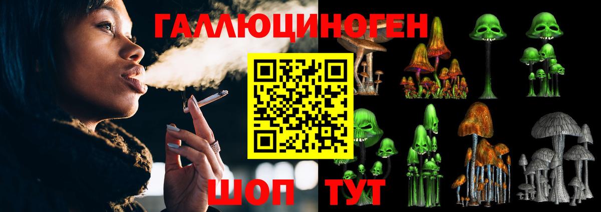 Ноябрьск  Галлюциногенные грибы ЛСД  Вход с VPN  Псилоцибиновые грибы GOLDEN TEACHER 